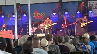 Kitchener Blues Fest 2024 day three Tom Petty tribute part 2 Mary Janes Last Dance [upl. by Ecreip155]