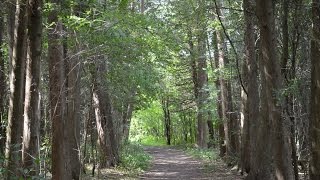 The Adirondack Coast Adirondack Wine Trail  Point au Roche State Park EatPlayLoveNY [upl. by Paymar444]