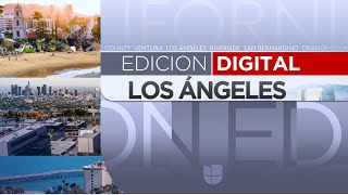 🔴 Nuevo jefe de policía promete no ayudar a ICE en deportaciones de Trump  EDLA 1230PM  111124 [upl. by Leeda486]