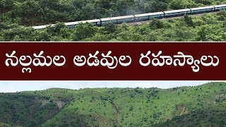 నల్లమల అడవుల్లోని రహస్యాలు  Secrets in Nallamala Forests  Nallamala Forest Mystery [upl. by Aciraa]