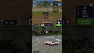 NEW DELTA VELOCIRAPTOR ALL ANIMATION  Jurassic World The Game [upl. by Selec]