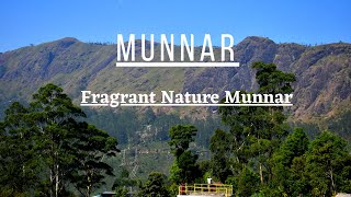 FRAGRANT NATURE MUNNAR Luxury 5 star Hotel in Munnar Wild Orchid Suite Room Blissful Reels [upl. by Elleon442]