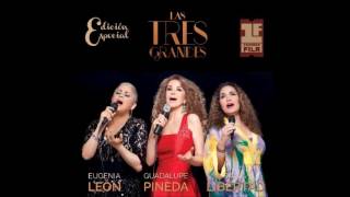 Las Tres Grandes  Primera Fila 23 Mi Canto Viene Del Sur Audio [upl. by Lyrpa493]