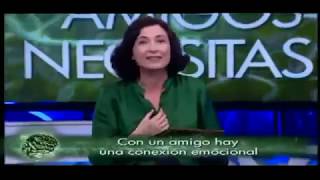 CUÁNTOS AMIGOS NECESITAS  ELSA PUNSET el hormiguero [upl. by Maclaine]