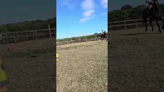 horse equestrian jumping meumping 90 cm [upl. by Sylera]