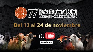 77° Feria Nacional Cebú Rionegro  Antioquia 2024  Día 2 [upl. by Morville]