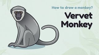 How to draw a monkey  Vervet Monkey Easy and simple drawing  Animal character design tutorial [upl. by Daj]