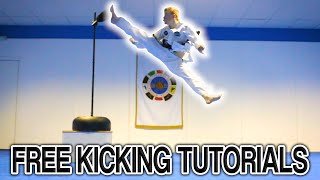 Taekwondo Kicking Tutorials Promo Ginger Ninja Trickster  How to Videos [upl. by Adnav]