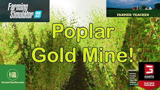 Is Poplar the Most Profitable Crop farmingsimulator22 [upl. by Merceer]