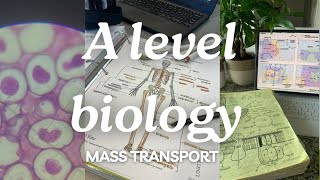 A level biology edexcel a SNAB Topic 1 Mass Transportation [upl. by Peale640]