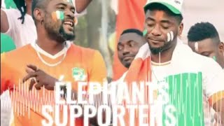 quotÉléphants Supportersquot Qui dit mieux [upl. by Eeryk]