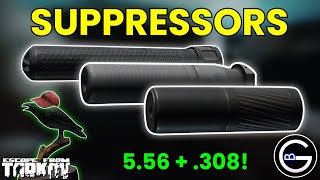 The Best Suppressors Combos In EFT 556 amp 762 NATO [upl. by Deirdra]