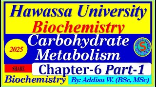 carbohydrates metabolism part1 interview exam digestion biochemistry 2024 [upl. by Wenoa]