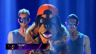 Rottweiler quotChris Daughtryquot  Alive Masked Singer S2E13 Reveal [upl. by Nylanej591]