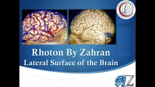 Rhoton By Zahran 4 Lateral Surface of the Brain [upl. by Harcourt]