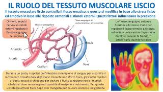 LA STRUTTURA E FUNZIONE DEI VASI SANGUIGNI [upl. by Iru10]