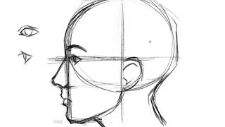 How to Draw a Face Profile [upl. by Nylirek]