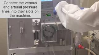 How to setup a dialysis Machine part II Hemodialysis Training [upl. by Darreg]