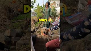 Cute Adventure 🥺 Dogvlog shorts vlog vlogger [upl. by Aleihs]