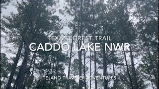 Caddo Lake NWR [upl. by Yevol]