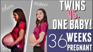 TWINS VS ONE BABY Comparing my Pregnancies  WEEK 36 UPDATE [upl. by Asilrac238]