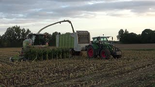 Mais 2023 LU Norbert Mäser Claas Jaguar 970 mit verschiedenen Abfahrern in der Wetterau [upl. by Aicre]