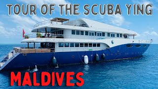 My In Depth Tour of the Scuba Ying Boat and Spa a Floating Resort by Scubaspa [upl. by Annoda]