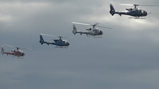 Gazelle Squadron Ayr Airshow 2023 [upl. by Ajroj]