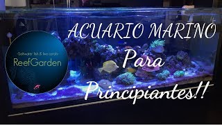 Acuario Marino para Principiantes [upl. by Ahsai253]