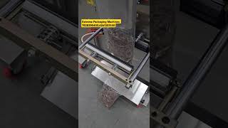 Automatic Pouch Packaging  Supadi Packing Machine shorts [upl. by Cullin]