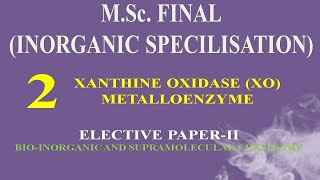 XANTHINE OXIDASE XO METALLOENZYME [upl. by Nnaes329]