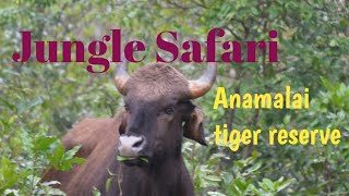 Safari in anamalai tiger reserve Topslip [upl. by Leamhsi747]