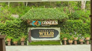 Oxygen Resorts  Wild Corridor  Thekkady Kerela [upl. by Verneuil824]