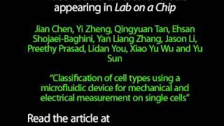 Classification cell types microfluidic device mechanical amp electrical measurement on single cells [upl. by Lezley]