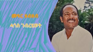 hagos gebrehowet welela lyrics ሓጎስ ገብረሂወት ወለላ [upl. by Isteb]