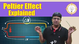 What is Peltier Effect  Physics Concept Explained  Biomentors Javed Sir  Concept1 [upl. by Wendall]