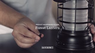 How To Charge The Forest Lantern [upl. by Anawahs]