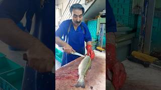 How to fillet a trout for frying fishcutting [upl. by Rox550]