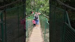 Hanging bridge in Tiger cave munnar nature MunnarYoutubchannel [upl. by Dallon]