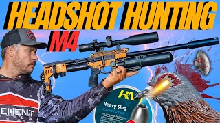 FX IMPACT M4 HEADSHOT AIRGUN HUNTING I LONG RANGE AIRGUN HUNTING WITH FX IMPACT M4 [upl. by Winthrop]