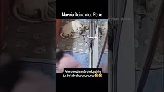 No meu peixe n Márcia 🤣😂😂😂 funnyvideo memes videoviral brasilmemes comedia videoshorts humor [upl. by Dorothy]