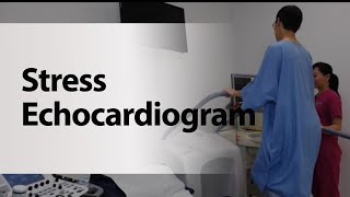 Stress Echocardiogram [upl. by Vita]