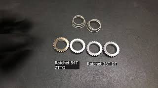 DT Swiss 350 Ratchet 54T ZTTO vs 36T DT Grease And Without Grease [upl. by Iretak]