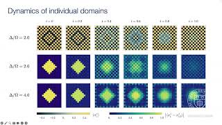 Quantum Theory Seminar Coarsening dynamics on a programmable quantum simulator [upl. by Atina]