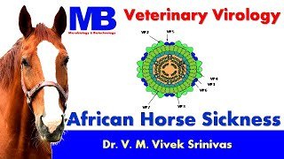 AFRICAN HORSE SICKNESS  Microbiology  Vivek Srinivas  equinehealth AHS Veterinaryscience [upl. by Joon]