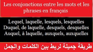 Apprendre le français  lequel laquelle lesquelles auquel desquels duquel [upl. by Atyekram910]