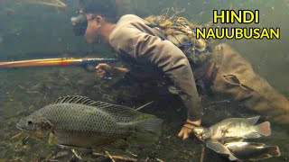 GRABE MABILISAN LANG NAKARAMI PARIN PAGPAPANA SPEARFISHING [upl. by Herodias]