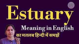 estuary meaning l meaning of estuary l estuary ka Hindi mein kya matlab hota hai l vocabulary [upl. by Douglas]