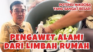 Mengenal Plantarisin Pengawet Alami dari Bakteri Lactobacillus Plantarum [upl. by Nelad]