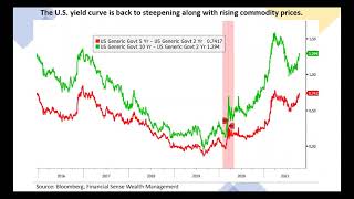 Global Liquidity vs Reflation [upl. by Aileda296]